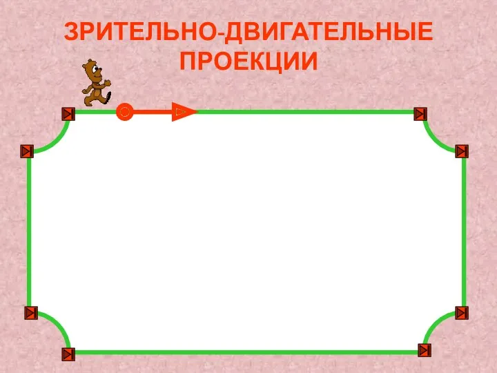 ЗРИТЕЛЬНО-ДВИГАТЕЛЬНЫЕ ПРОЕКЦИИ