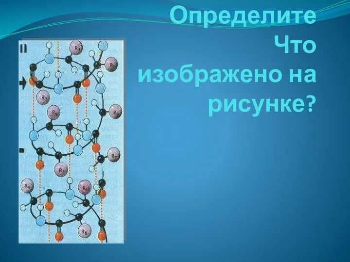 Определите Что изображено на рисунке?