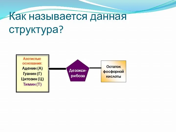 Как называется данная структура?