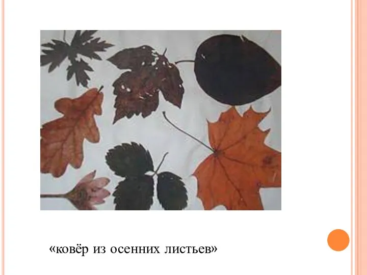 «ковёр из осенних листьев»