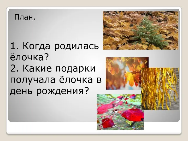 1. Когда родилась ёлочка? 2. Какие подарки получала ёлочка в день рождения? План.