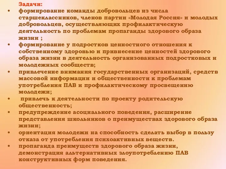 Задачи: формирование команды добровольцев из числа старшеклассников, членов партии «Молодая