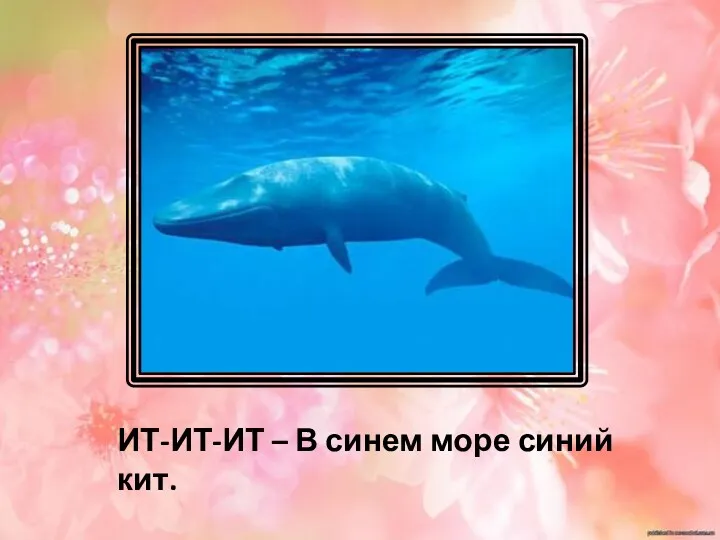 ИТ-ИТ-ИТ – В синем море синий кит.
