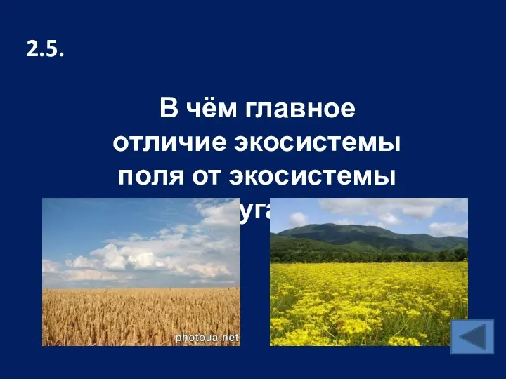 2.5. В чём главное отличие экосистемы поля от экосистемы луга?