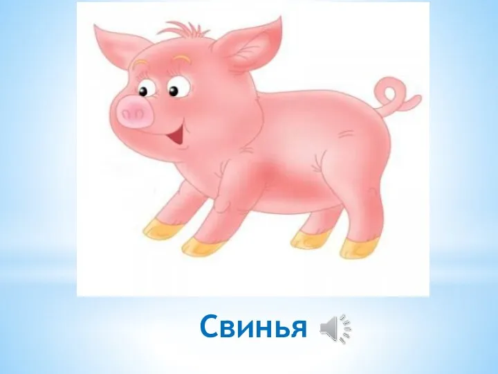 Свинья