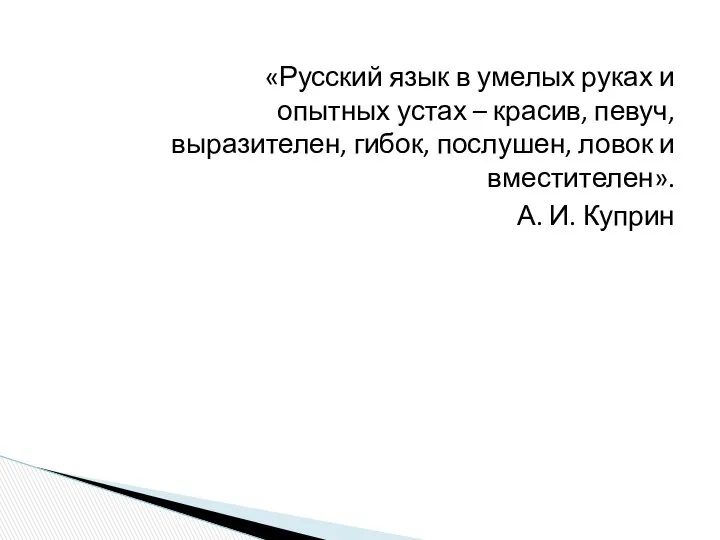 «Русский язык в умелых руках и опытных устах – красив,