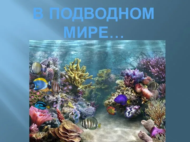 в подводном мире…