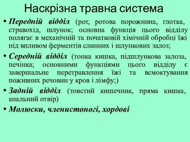 Наскрізна травна система Передній відділ (рот, ротова порожнина, глотка, стравохід,