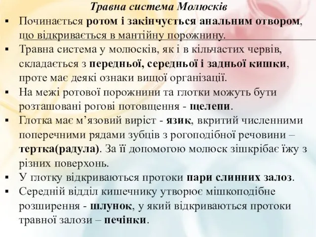 Травна система Молюсків Починається ротом і закінчується анальним отвором, що