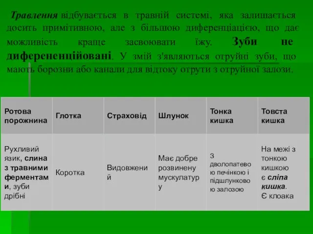 Травлення відбувається в травній системі, яка залишається досить примітивною, але