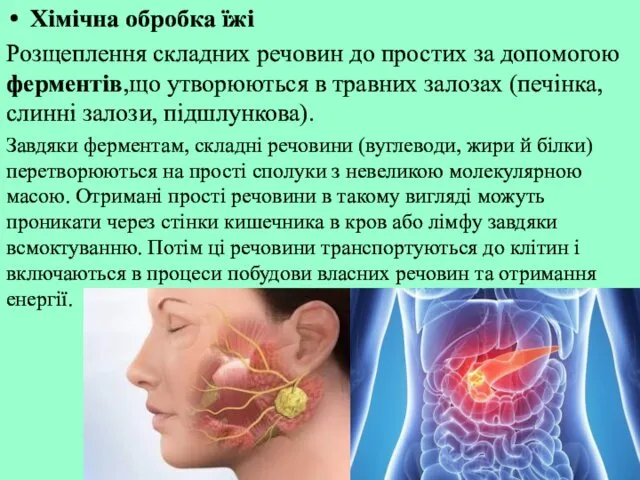 Хімічна обробка їжі Розщеплення складних речовин до простих за допомогою