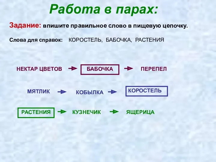 Работа в парах: Задание: впишите правильное слово в пищевую цепочку.