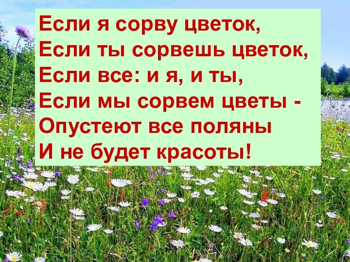 Если я сорву цветок, Если ты сорвешь цветок, Если все: