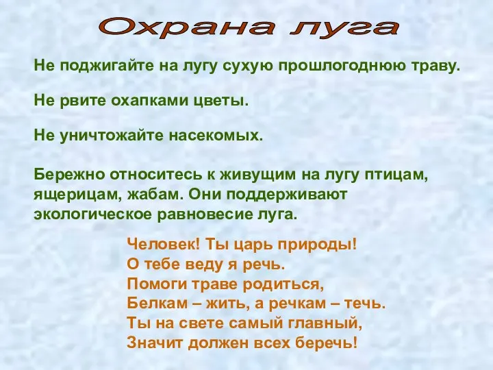 Не поджигайте на лугу сухую прошлогоднюю траву. Не рвите охапками