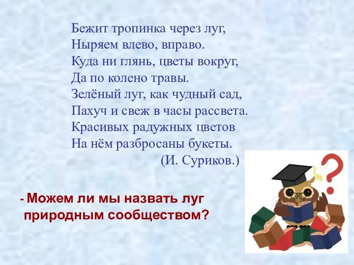 Бежит тропинка через луг, Ныряем влево, вправо. Куда ни глянь,