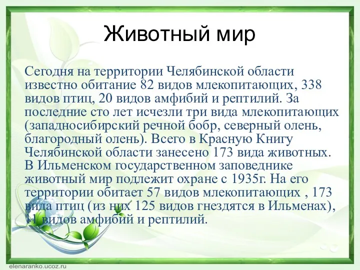 Животный мир Сегодня на территории Челябинской области известно обитание 82