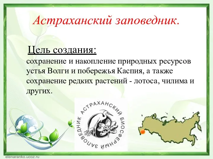 Астраханский заповедник. Цель создания: сохранение и накопление природных ресурсов устья