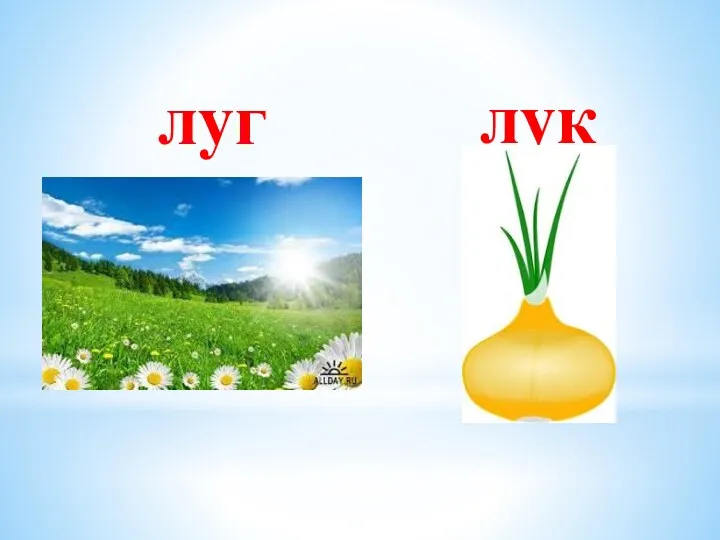 луг лук