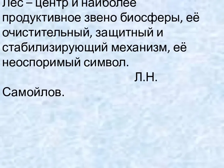 Лес – центр и наиболее продуктивное звено биосферы, её очистительный,