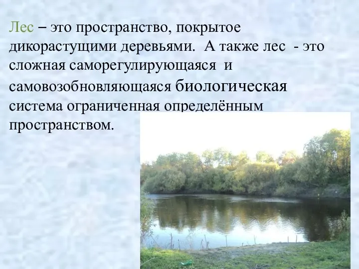 Лес – это пространство, покрытое дикорастущими деревьями. А также лес