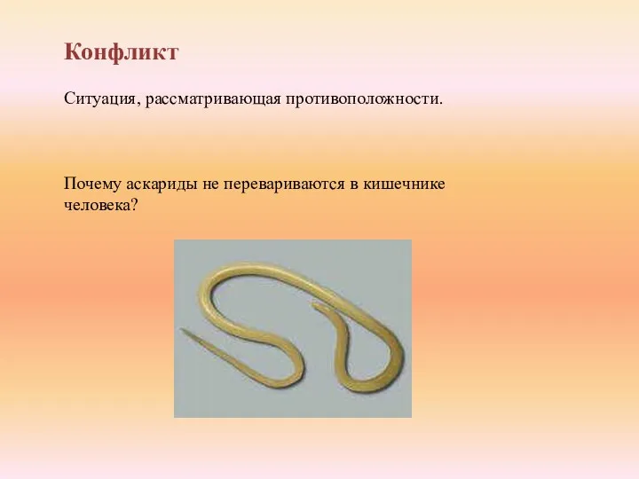 Конфликт Ситуация, рассматривающая противоположности. Почему аскариды не перевариваются в кишечнике человека?