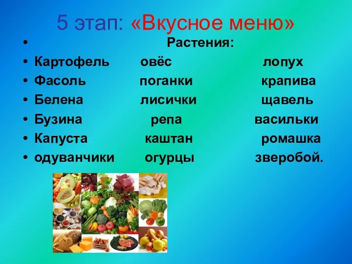 5 этап: «Вкусное меню» Растения: Картофель овёс лопух Фасоль поганки крапива Белена лисички