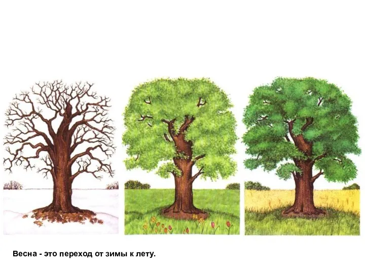 Весна - это переход от зимы к лету.