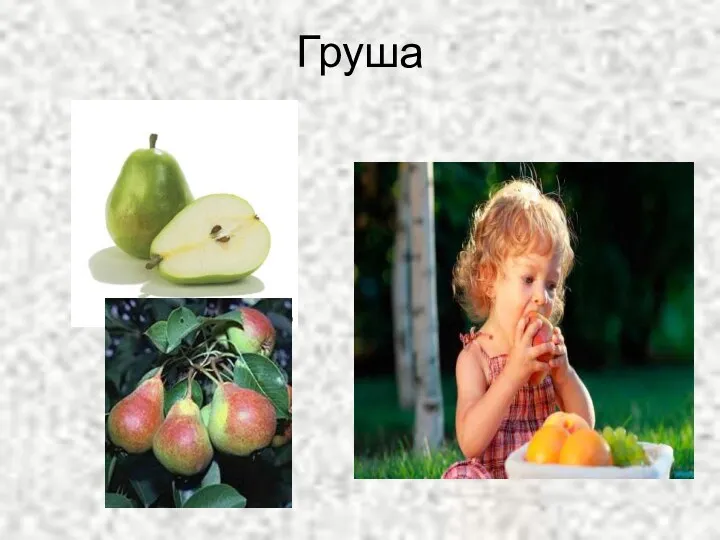 Груша