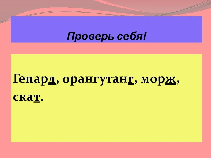 Проверь себя! Гепард, орангутанг, морж, скат.