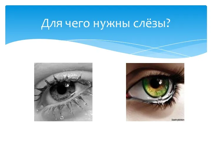 Для чего нужны слёзы?