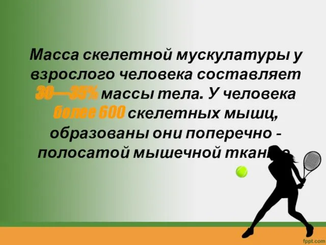 Масса скелетной мускулатуры у взрослого человека составляет 30—35% массы тела.