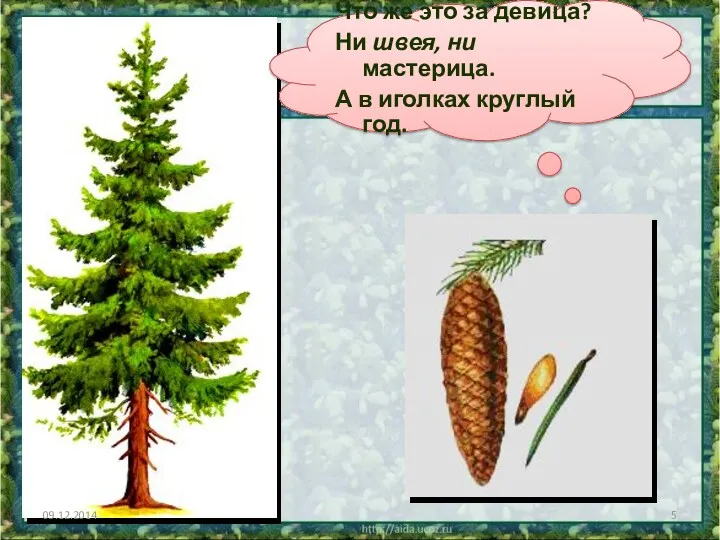 09.12.2014 Что же это за девица? Ни швея, ни мастерица. А в иголках круглый год.