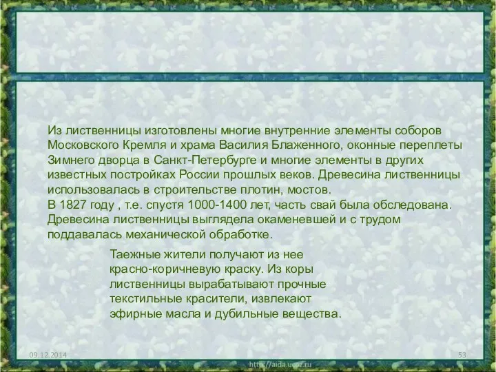 09.12.2014 Из лиственницы изготовлены многие внутренние элементы соборов Московского Кремля и храма Василия