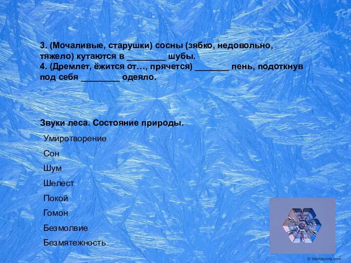 3. (Мочаливые, старушки) сосны (зябко, недовольно, тяжело) кутаются в ________