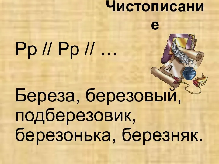 Чистописание Рр // Рр // … Береза, березовый, подберезовик, березонька, березняк.