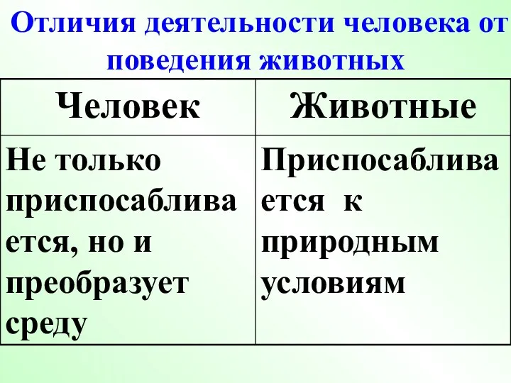 Отличия деятельности человека от поведения животных