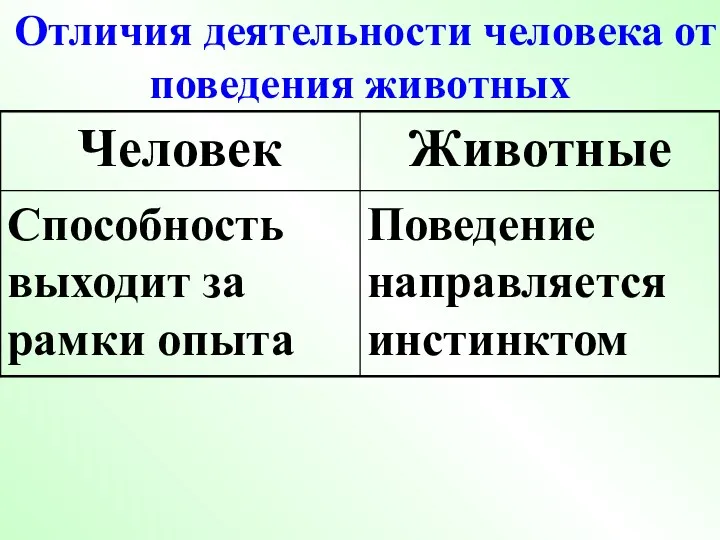 Отличия деятельности человека от поведения животных