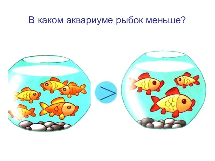 В каком аквариуме рыбок меньше?