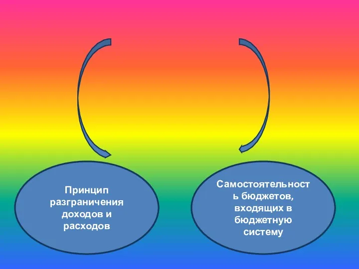 Основные принципы организации бюджетной системы Принцип разграничения доходов и расходов Самостоятельность бюджетов, входящих в бюджетную систему