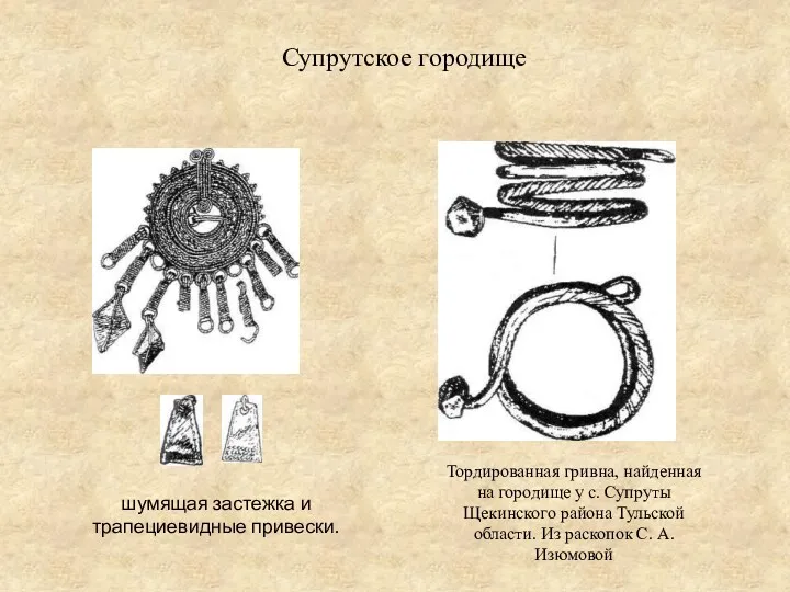 Супрутское городище Тордированная гривна, найденная на городище у с. Супруты