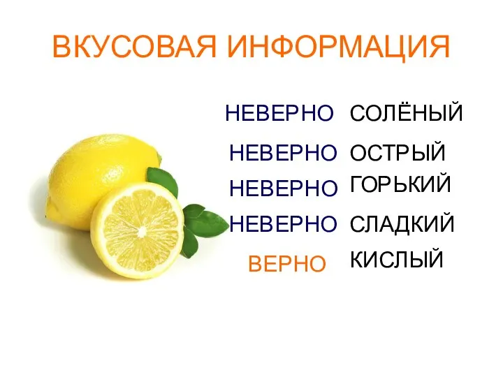 ВКУСОВАЯ ИНФОРМАЦИЯ СОЛЁНЫЙ ОСТРЫЙ ГОРЬКИЙ СЛАДКИЙ КИСЛЫЙ НЕВЕРНО НЕВЕРНО НЕВЕРНО НЕВЕРНО ВЕРНО