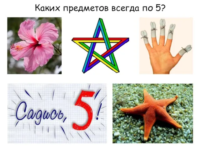 Каких предметов всегда по 5?