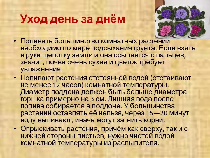 Уход день за днём Поливать большинство комнатных растений необходимо по мере подсыхания грунта.