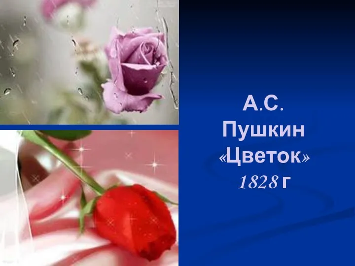 А.С.Пушкин «Цветок» 1828 г