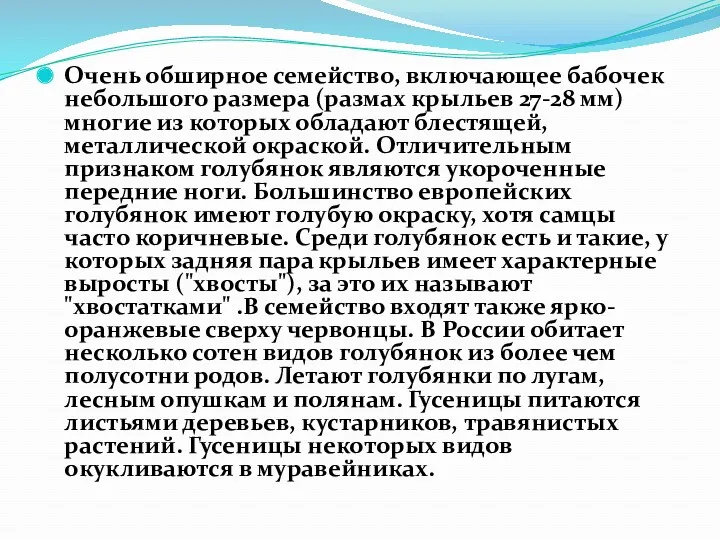 Очень обширное семейство, включающее бабочек небольшого размера (размах крыльев 27-28