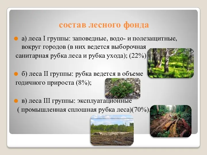 состав лесного фонда а) леса I группы: заповедные, водо- и полезащитные, вокруг городов