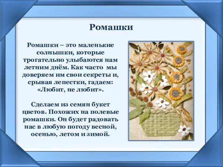 Ромашки Ромашки – это маленькие солнышки, которые трогательно улыбаются нам