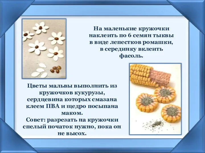 На маленькие кружочки наклеить по 6 семян тыквы в виде лепестков ромашки, в серединку вклеить фасоль.