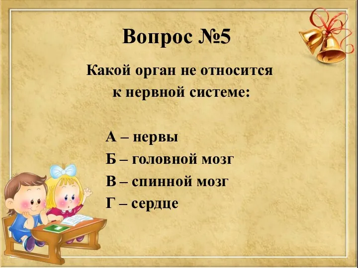 Вопрос №5 Какой орган не относится к нервной системе: А