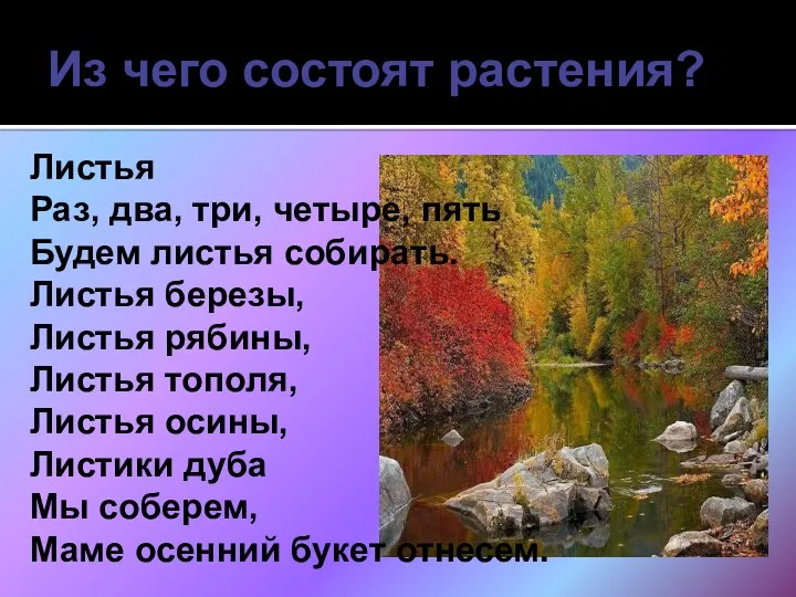 Из чего состоят растения? Листья Раз, два, три, четыре, пять Будем листья собирать.